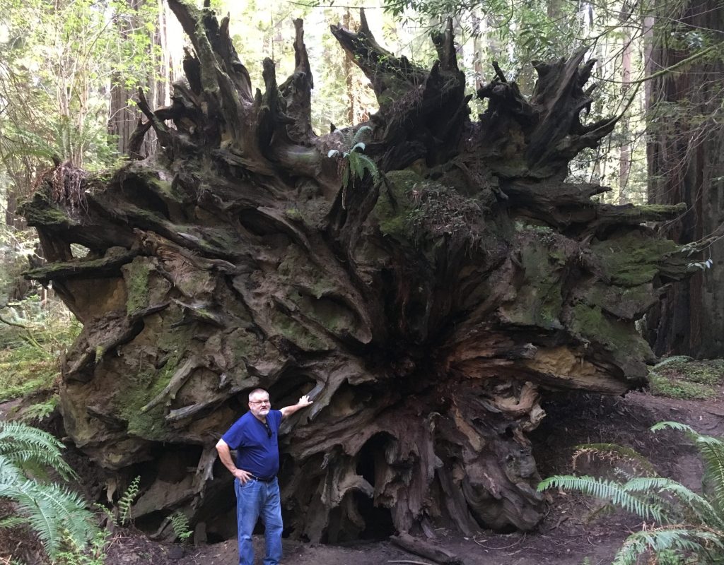 Valley of the Giants